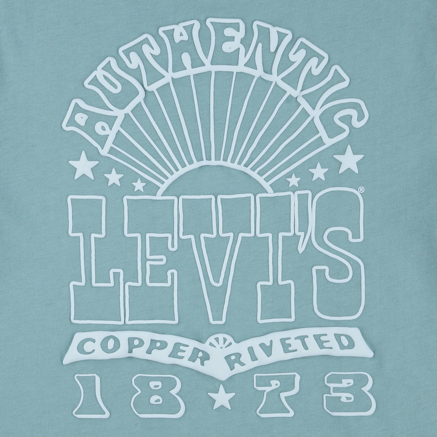 Levi's Kids T-shirt blauw