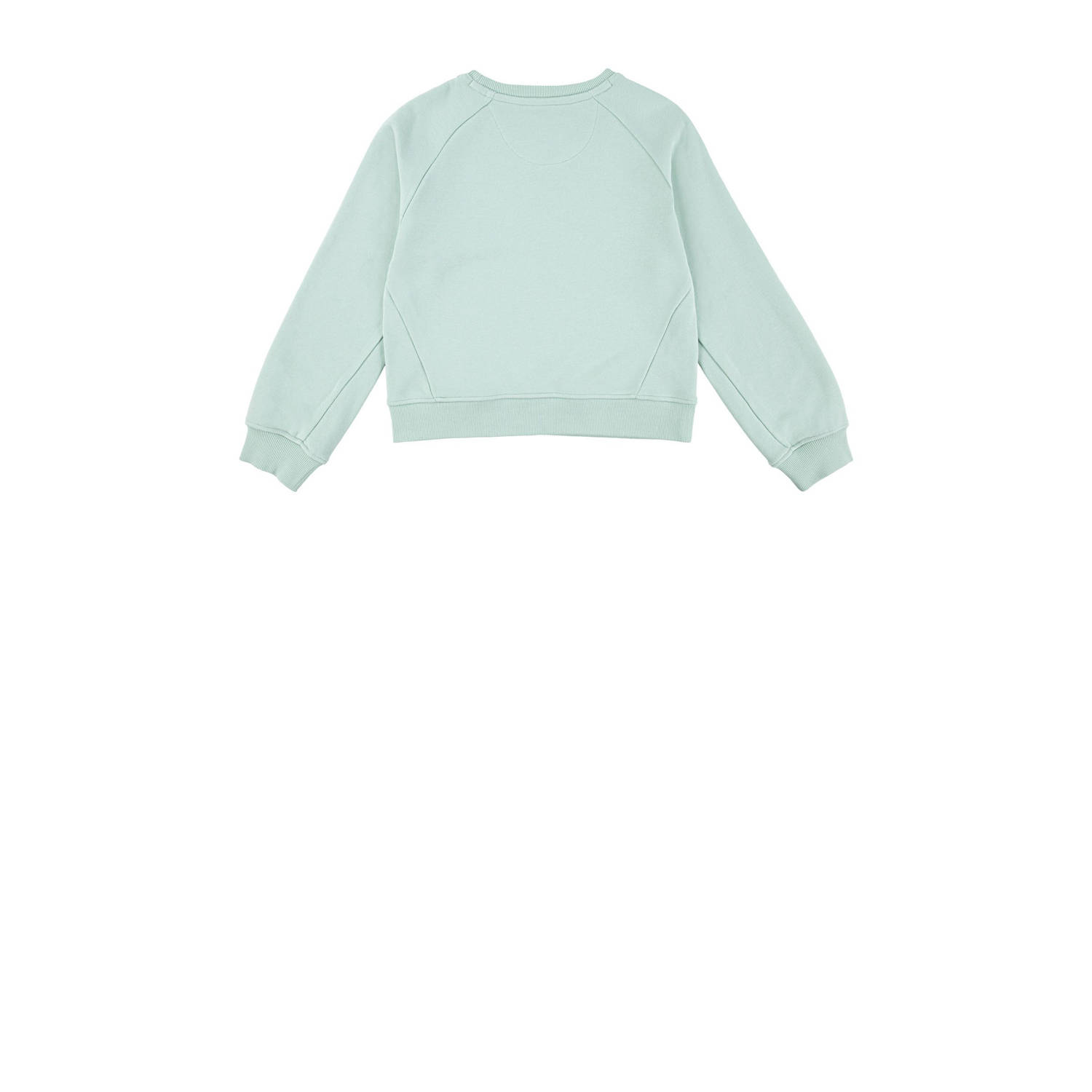 Levi's Kids T-shirt groen
