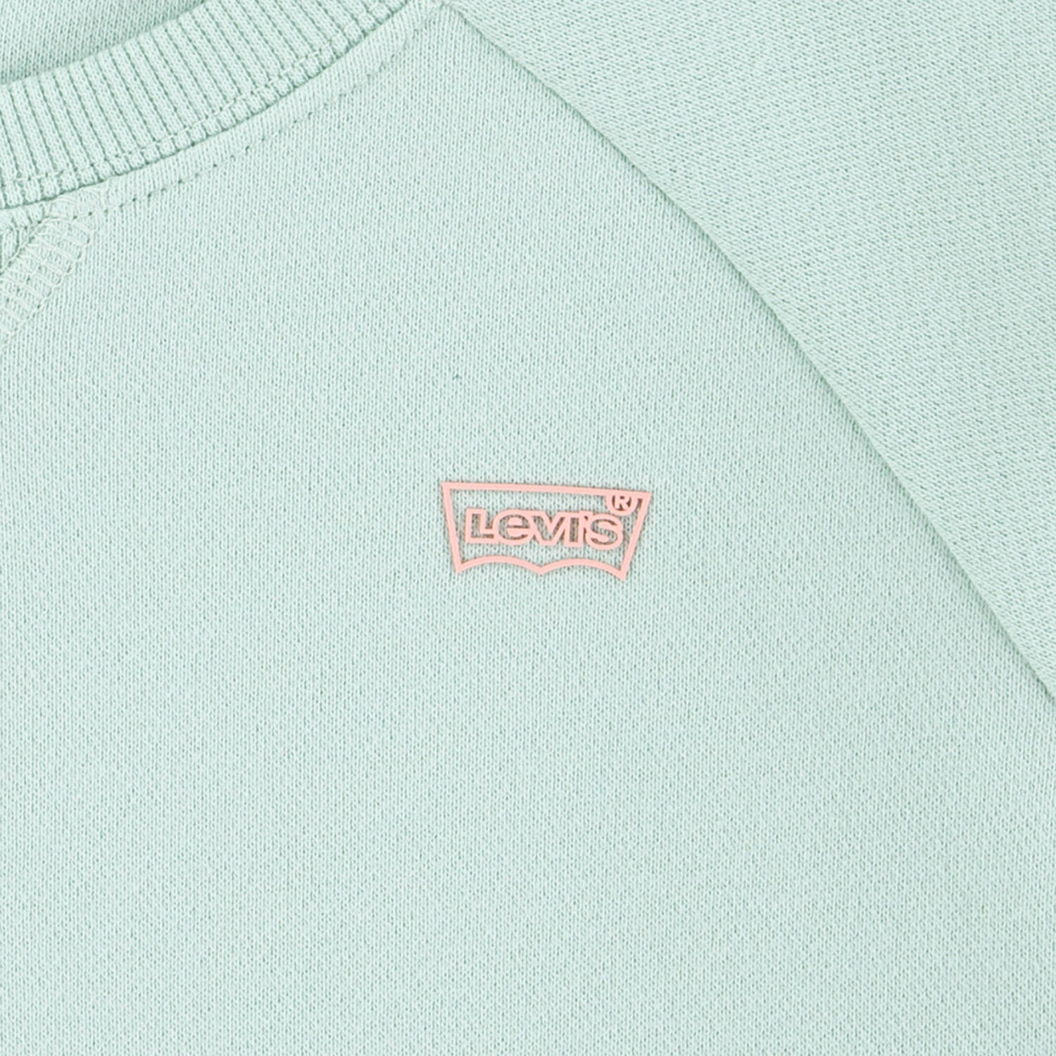 Levi's Kids T-shirt groen