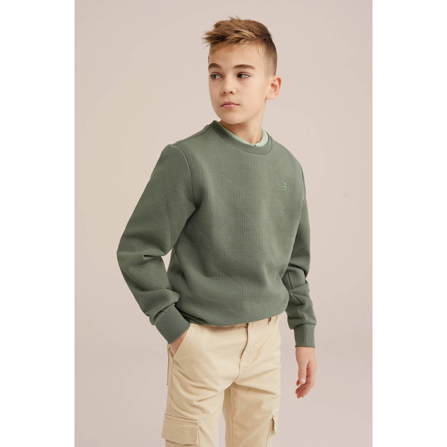 WE Fashion Blue Ridge sweater mosgroen