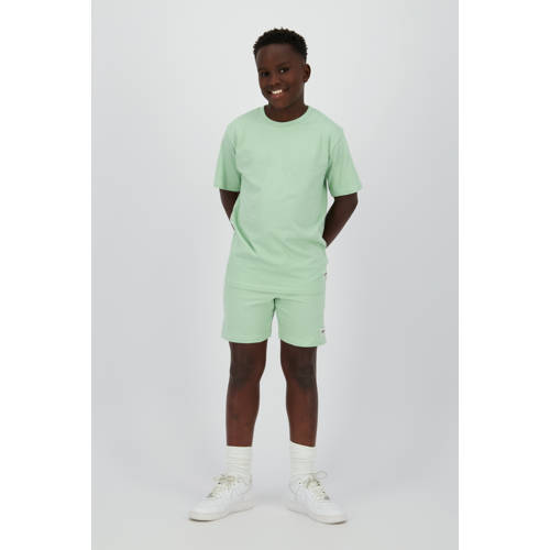 Raizzed T-shirt lichtgroen afbeelding