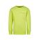 Raizzed sweater limegroen