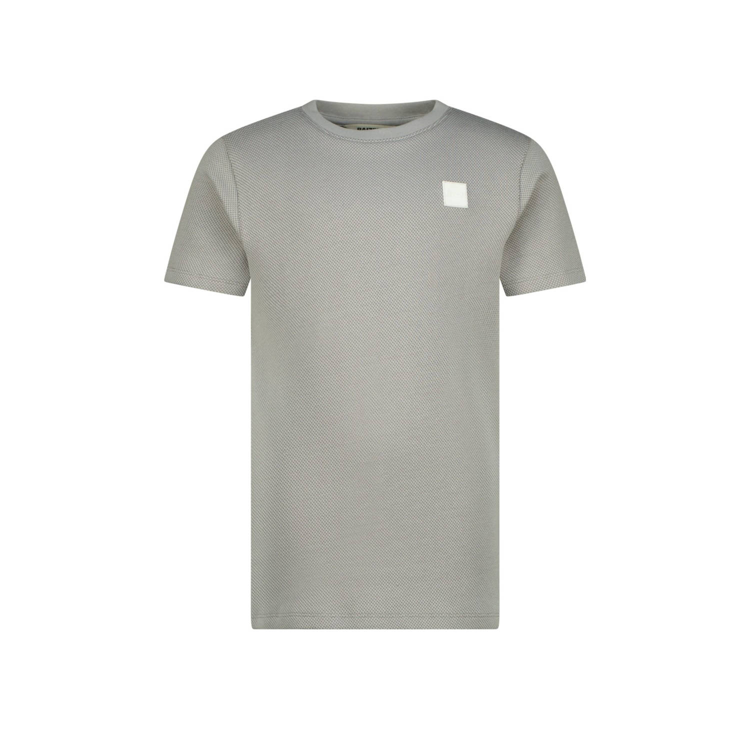 RAIZZED Jongens Polo's & T-shirts Halls Grijs