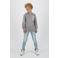 Raizzed sweater grijs