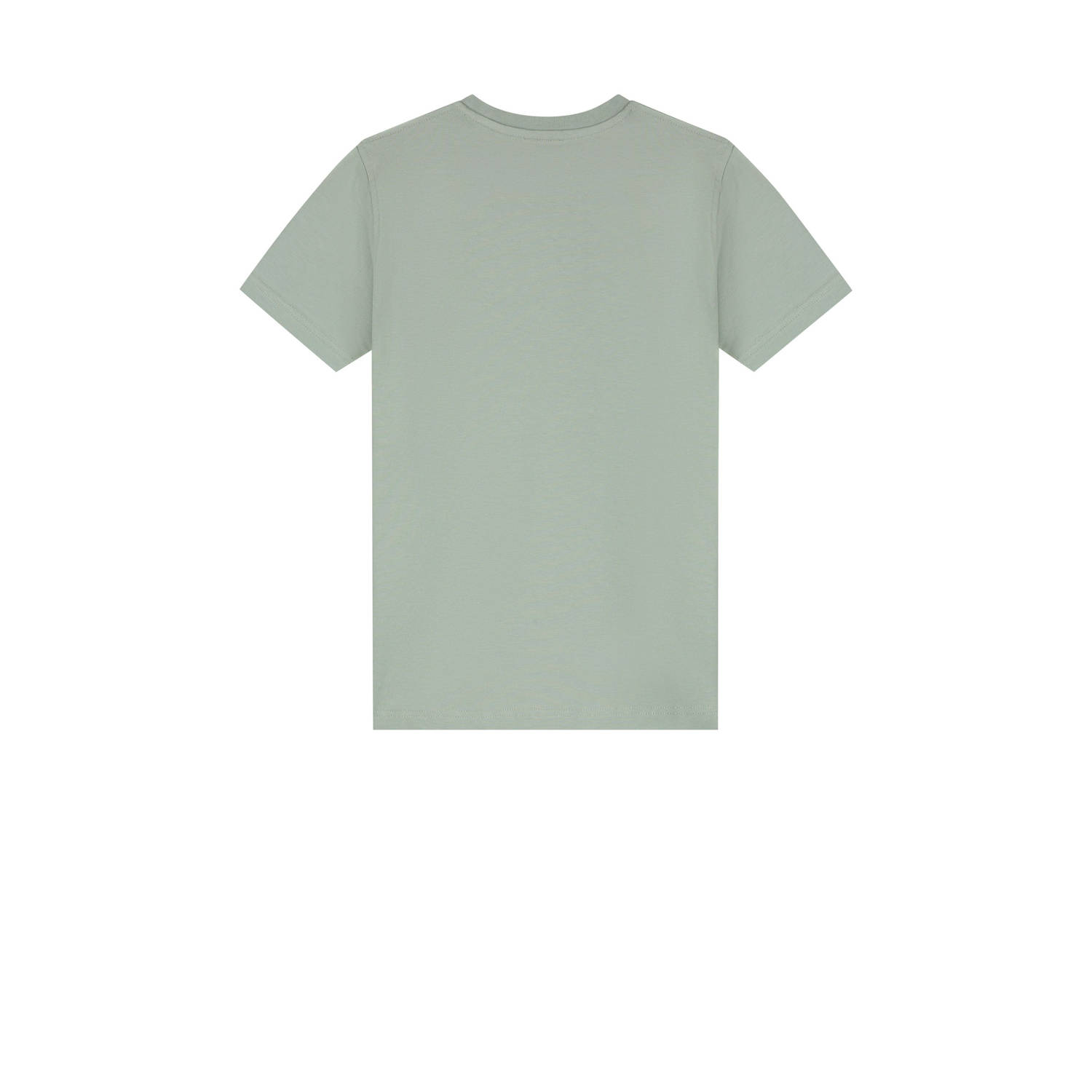 Malelions T-shirt groen