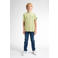 Petrol Industries T-shirt groen