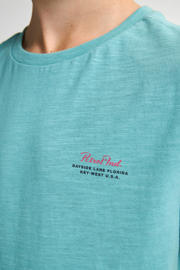 thumbnail: Petrol Industries T-shirt met backprint mintgroen