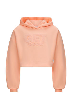 hoodie roze