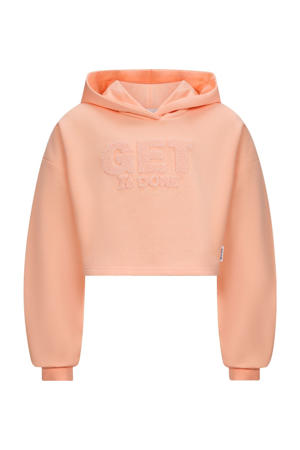 hoodie roze