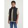 Cars bodywarmer zwart