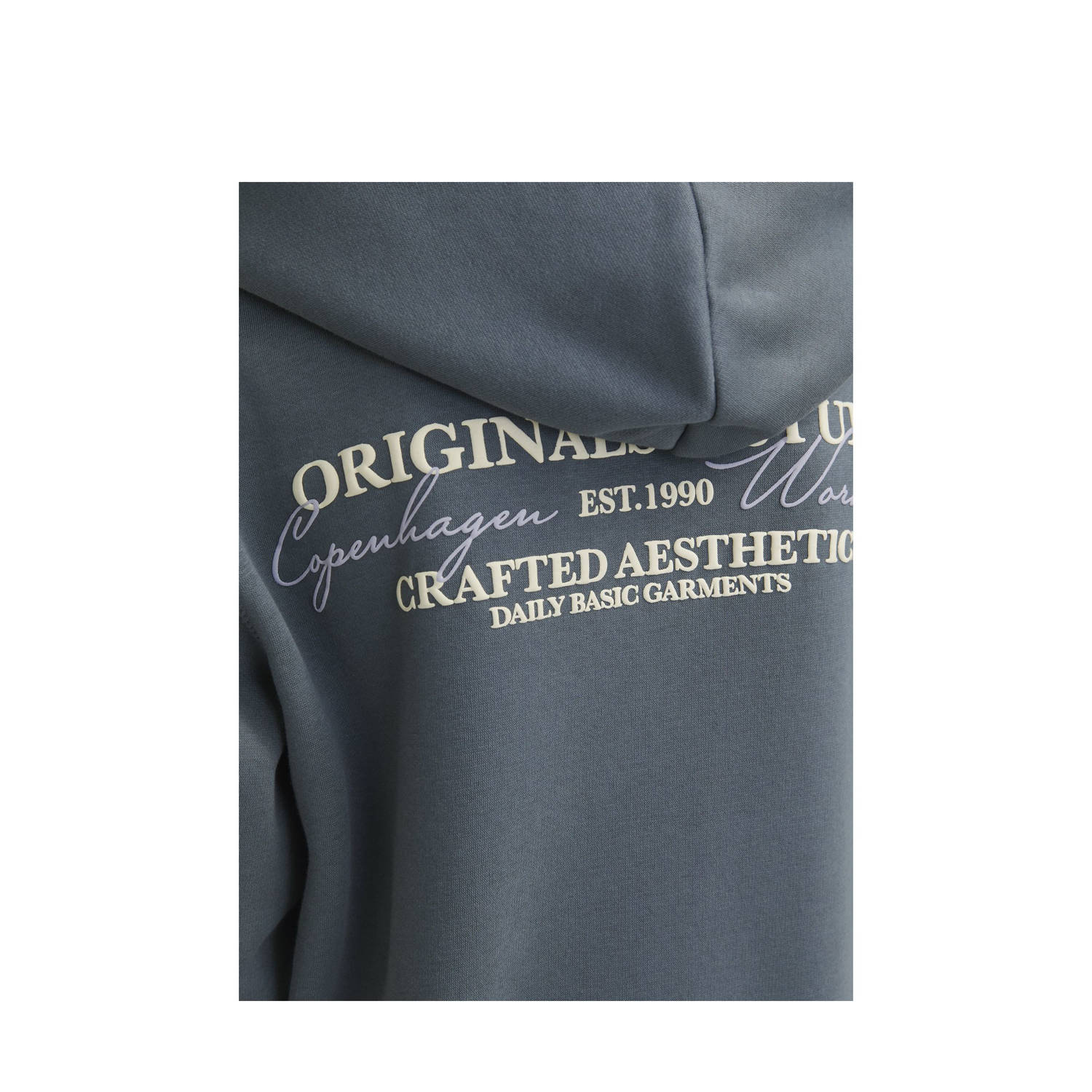 JACK & JONES JUNIOR hoodie grijs