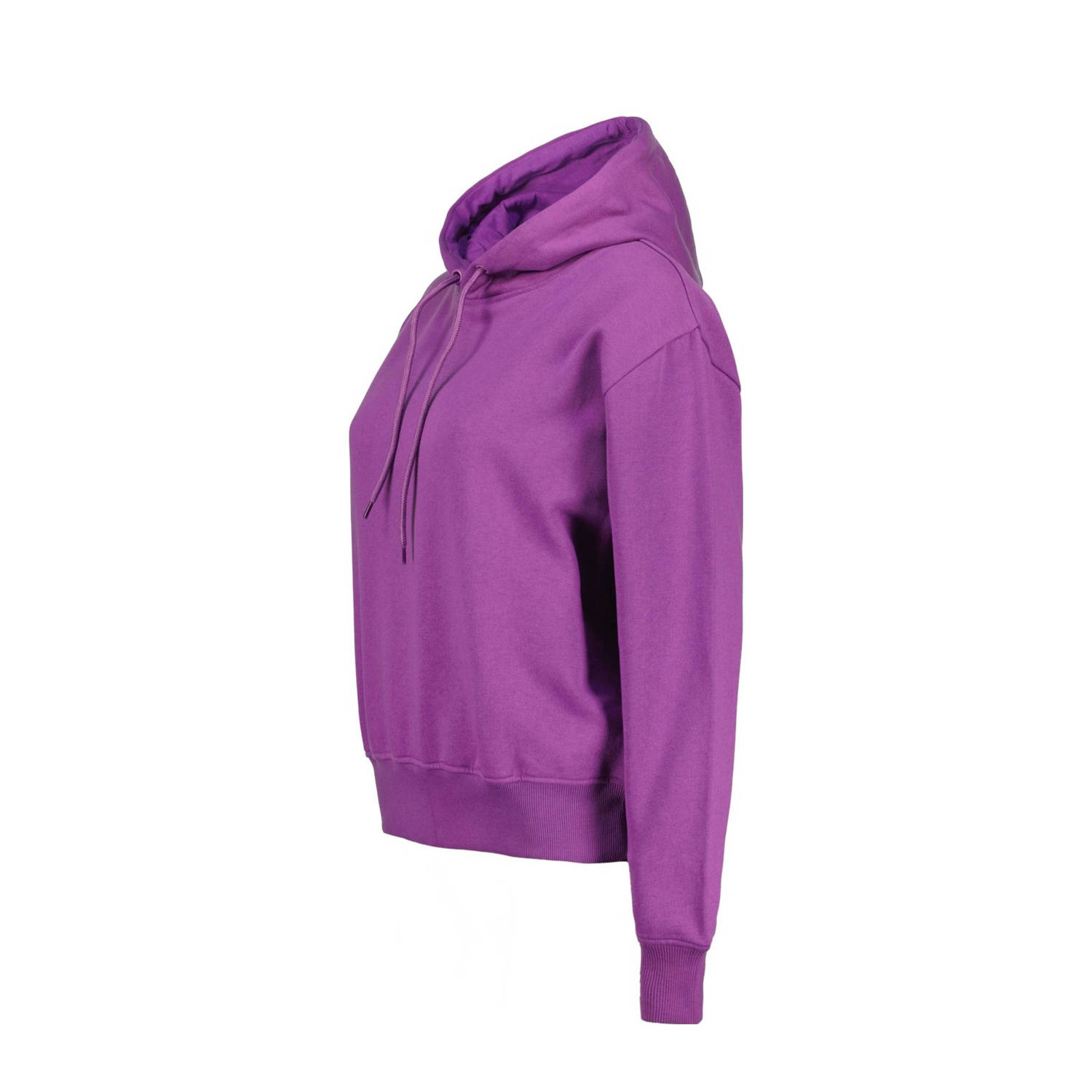 Raizzed hoodie paars