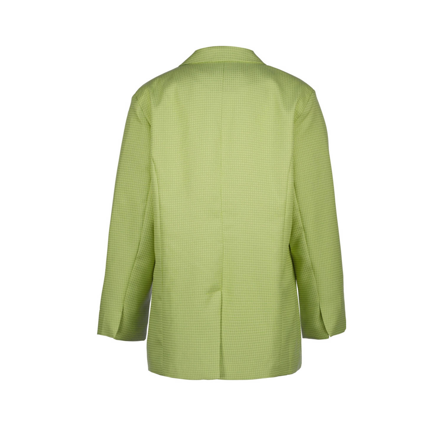Raizzed oversized blazer Miran lichtgroen