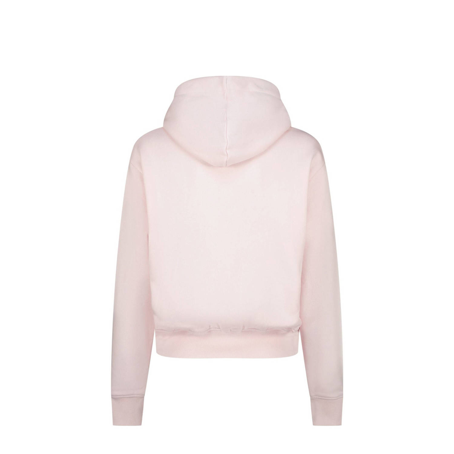 Raizzed hoodie lichtroze