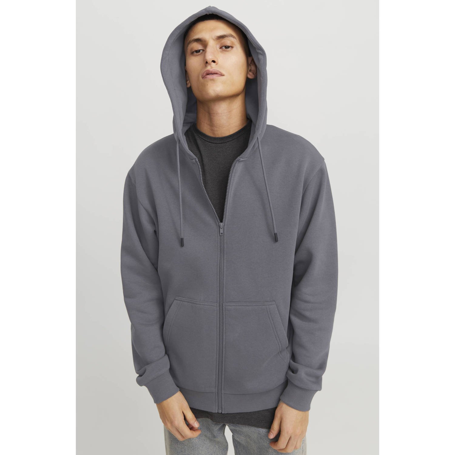 Jack & Jones Capuchonsweatvest JJEBRADLEY SWEAT ZIP HOOD NOOS