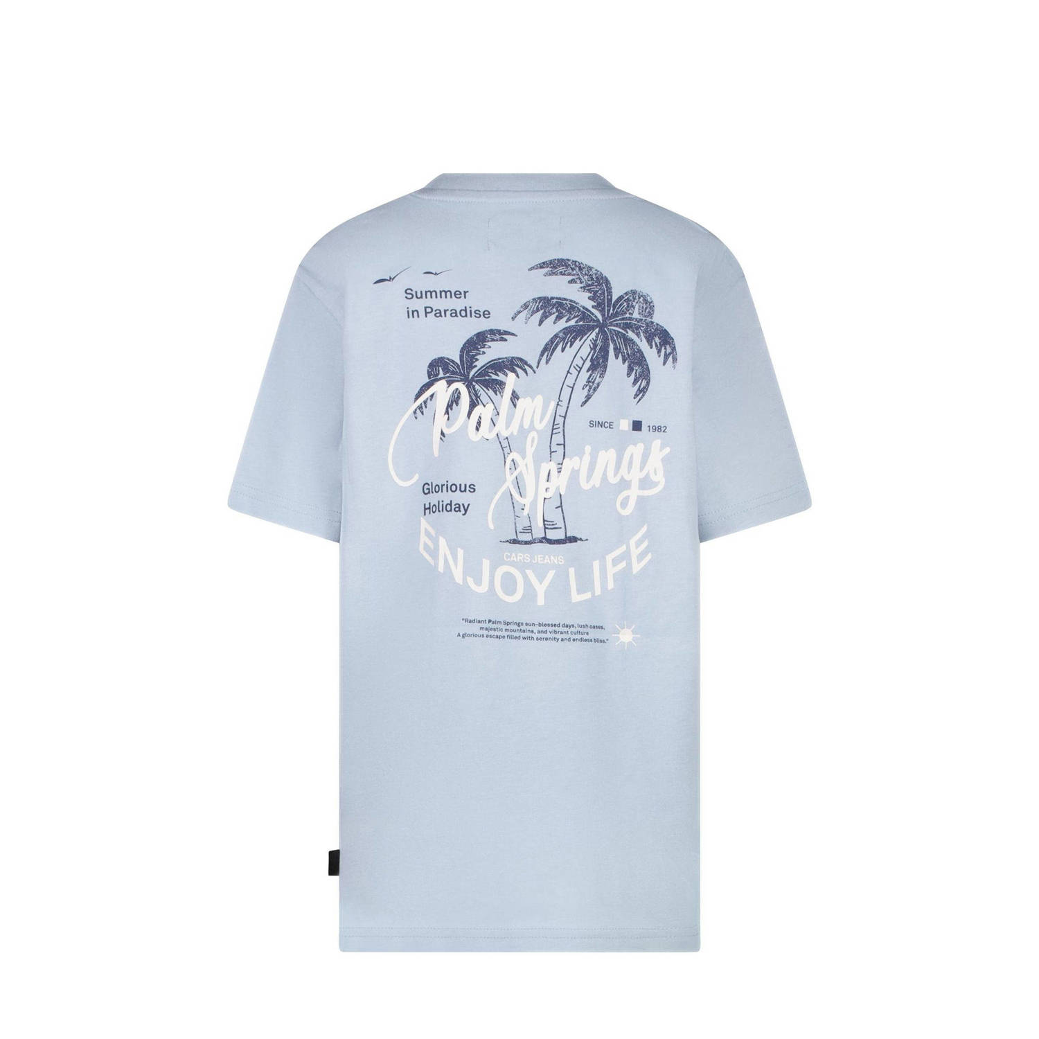 Cars T-shirt lichtblauw
