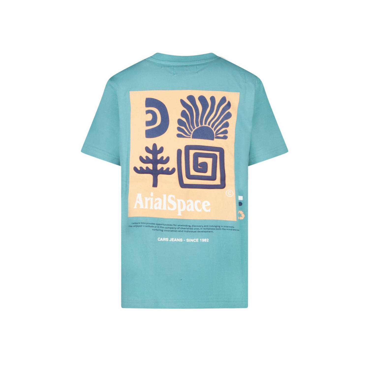Cars T-shirt petrol
