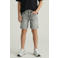 Cars denim regular short grey denim