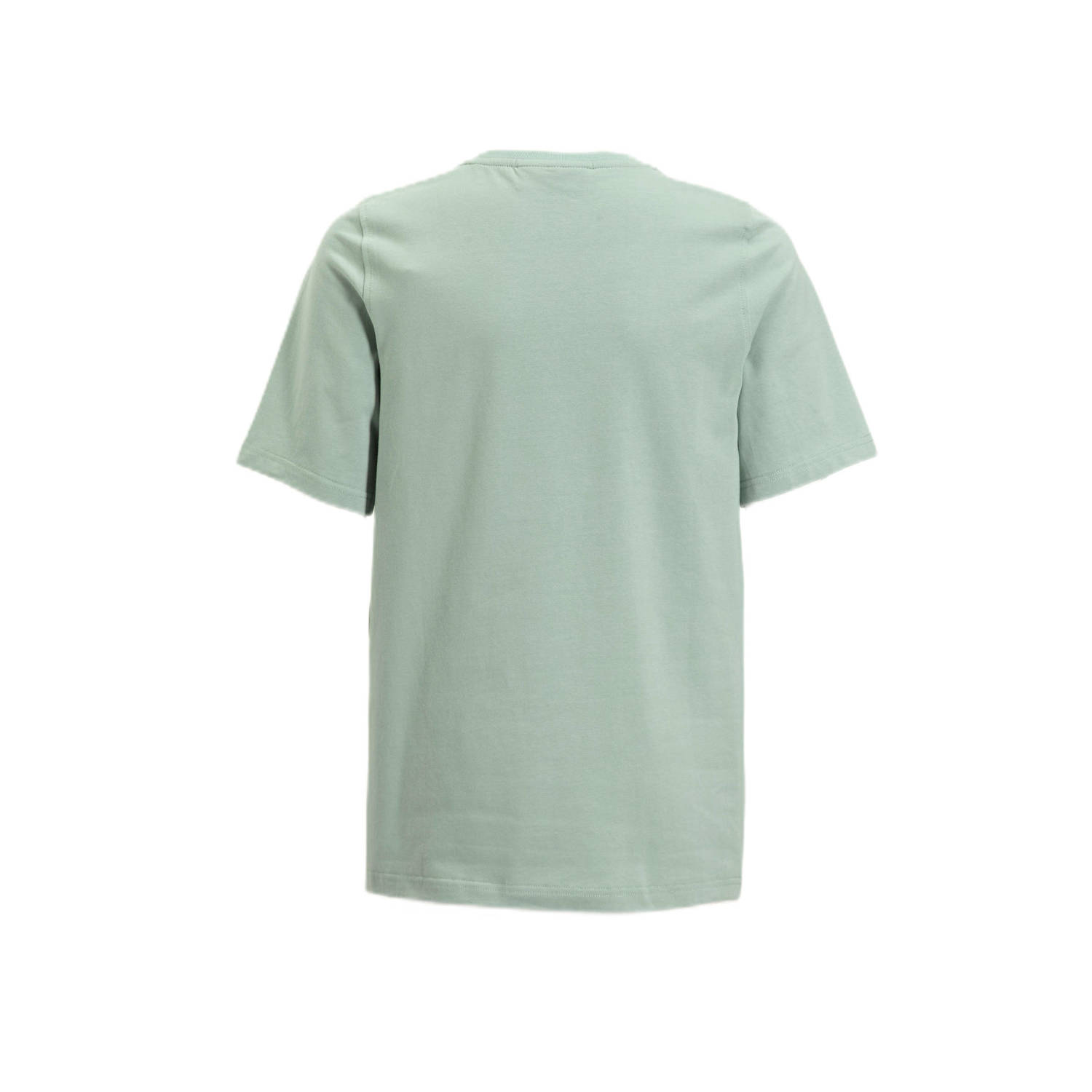 BLACK BANANAS T-shirt mintgroen