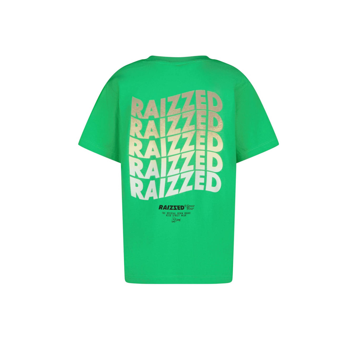 Raizzed T-shirt groen