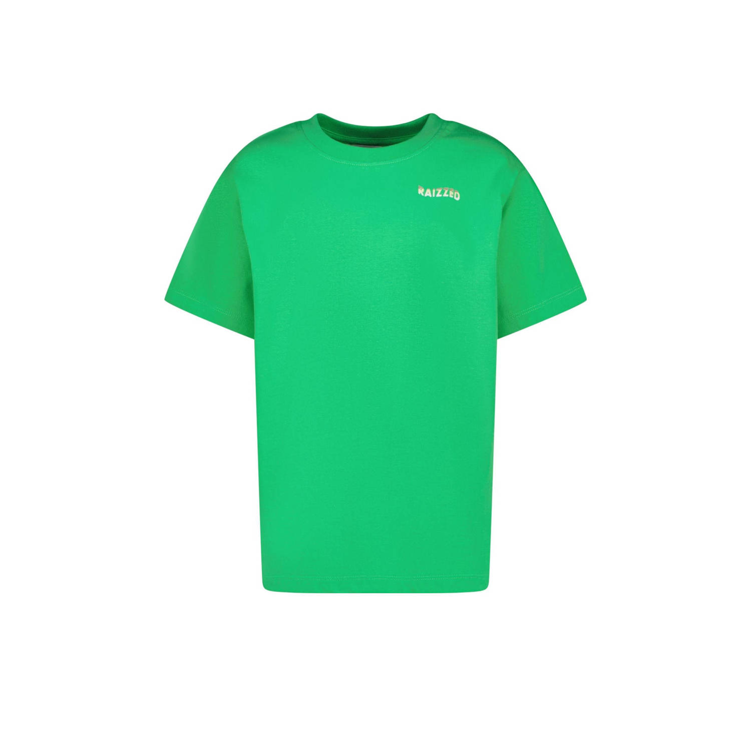 RAIZZED Jongens Polo's & T-shirts Haw Groen