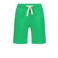 Raizzed regular sweatshort groen