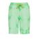 Raizzed regular sweatshort groen