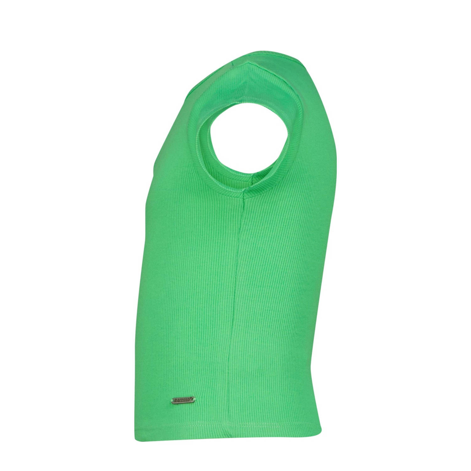 Raizzed T-shirt groen