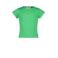 Raizzed T-shirt groen