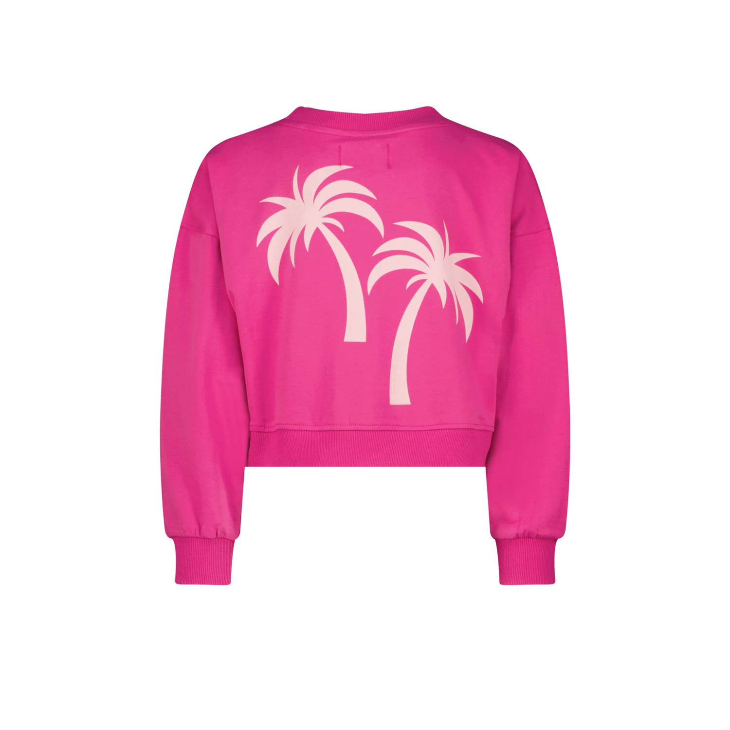 Raizzed sweater roze