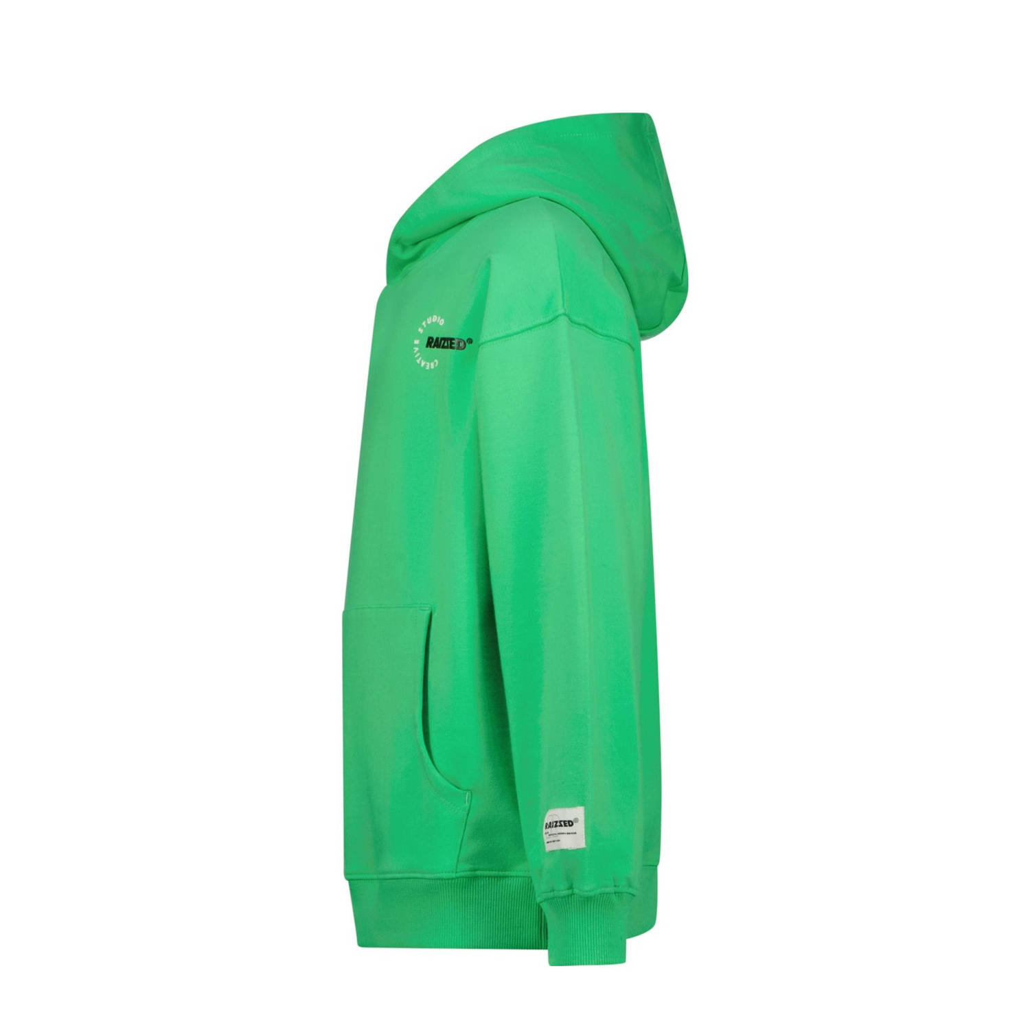 Raizzed hoodie groen