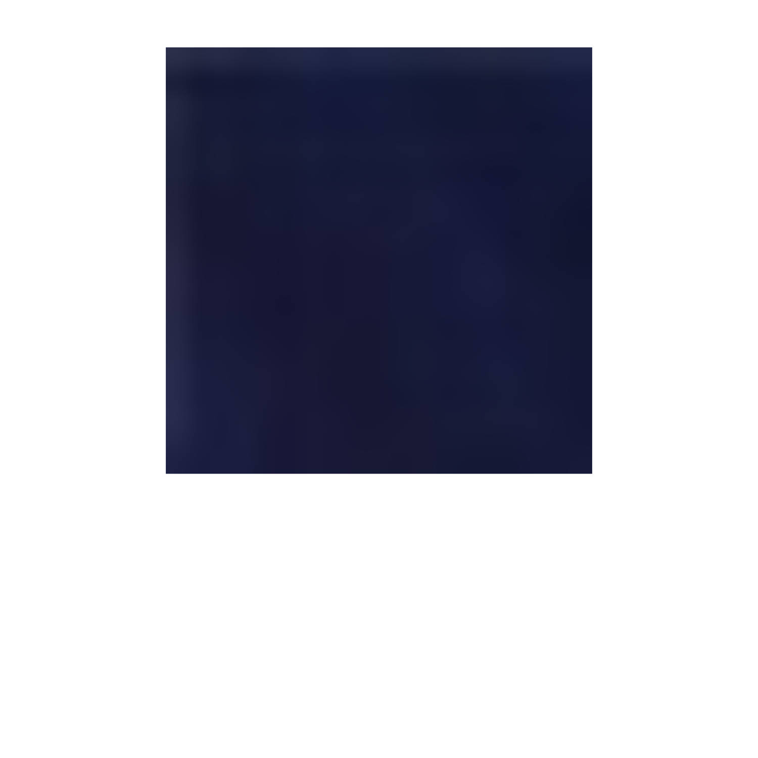 America Today zwemshort Weston donkerblauw