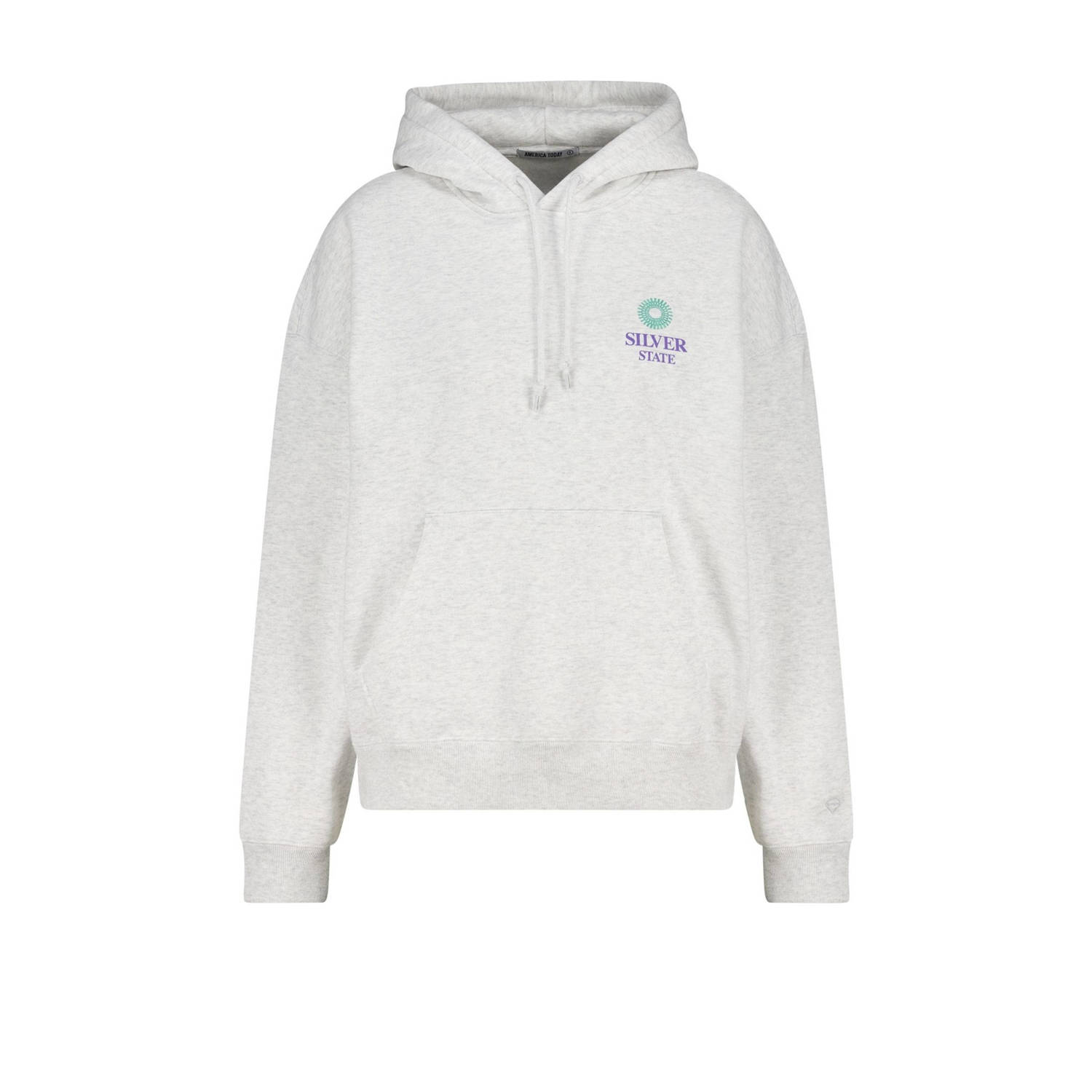 America Today hoodie grijs
