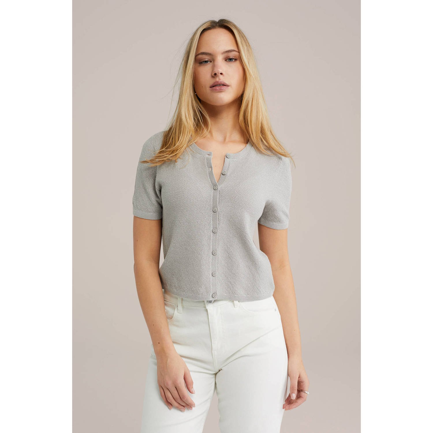 WE Fashion gebreid vest lichtgrijs met lurex