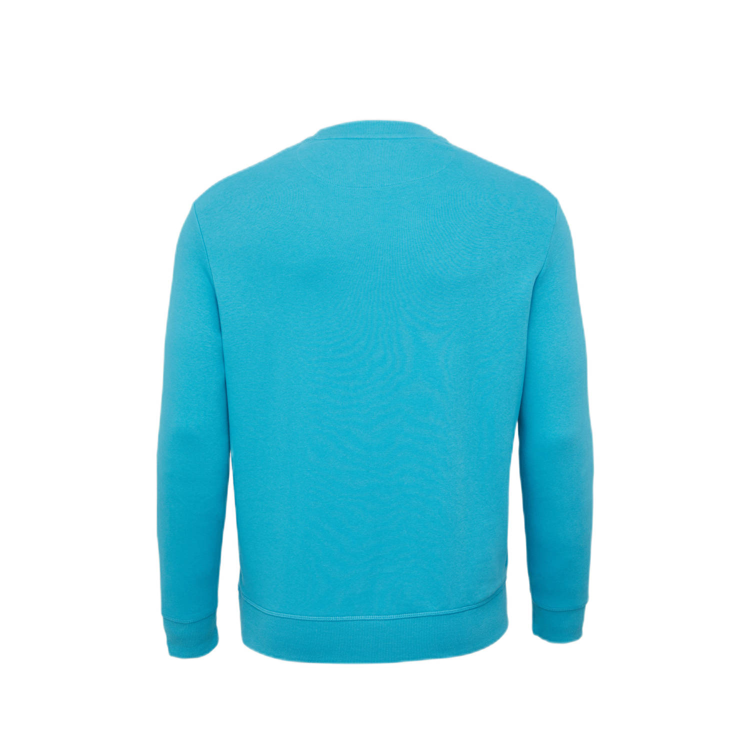 s.Oliver Big Size sweater blauw