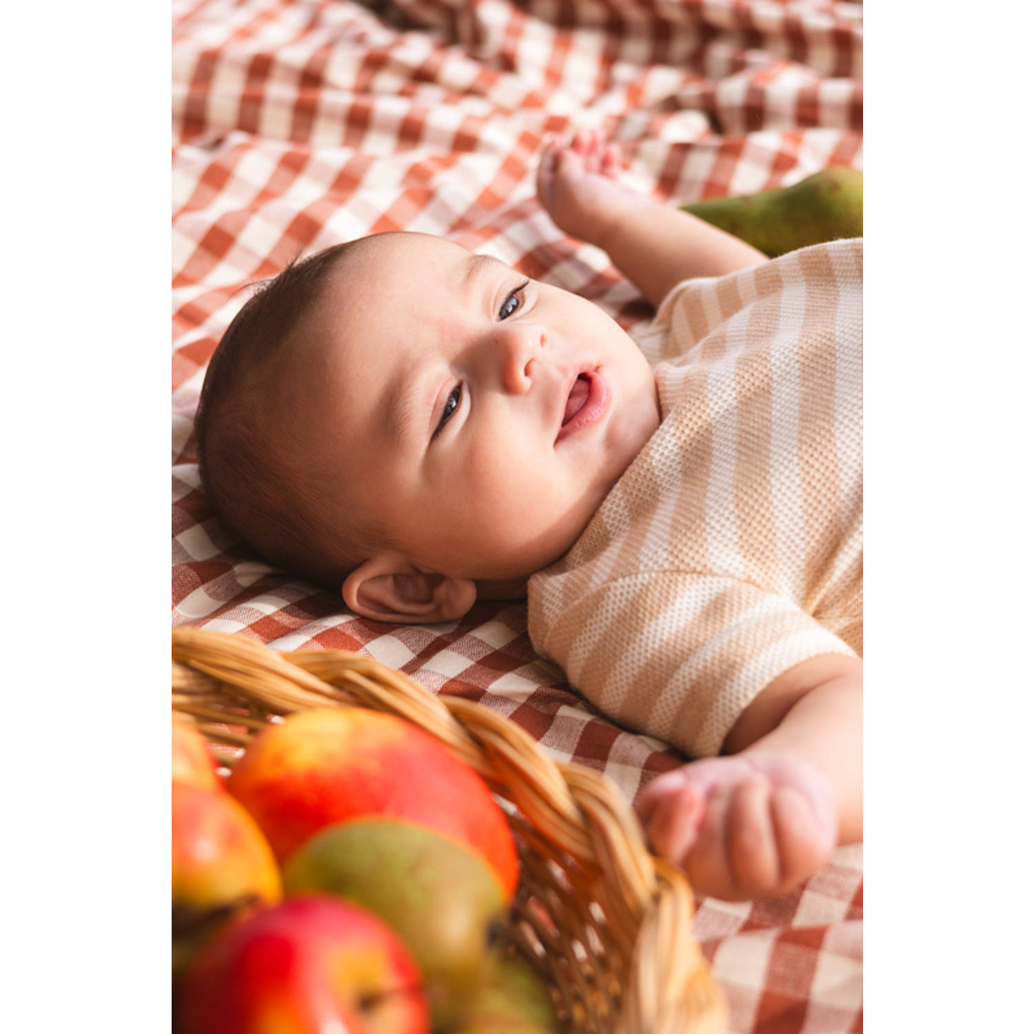 Quapi Newborn T-shirt beige