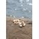 Bolina Island x Florine Hofstee oorbellen Rose goudkleurig