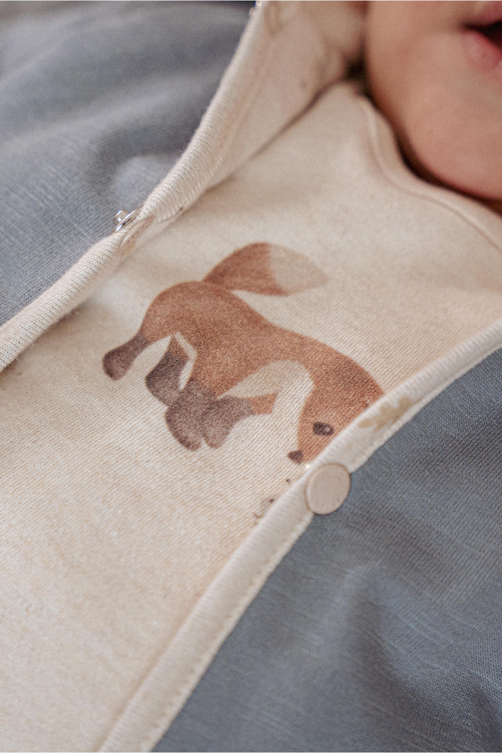 Zandkleurige jongens Little Dutch longsleeve van katoen met printopdruk, lange mouwen, ronde hals en drukknoopsluiting