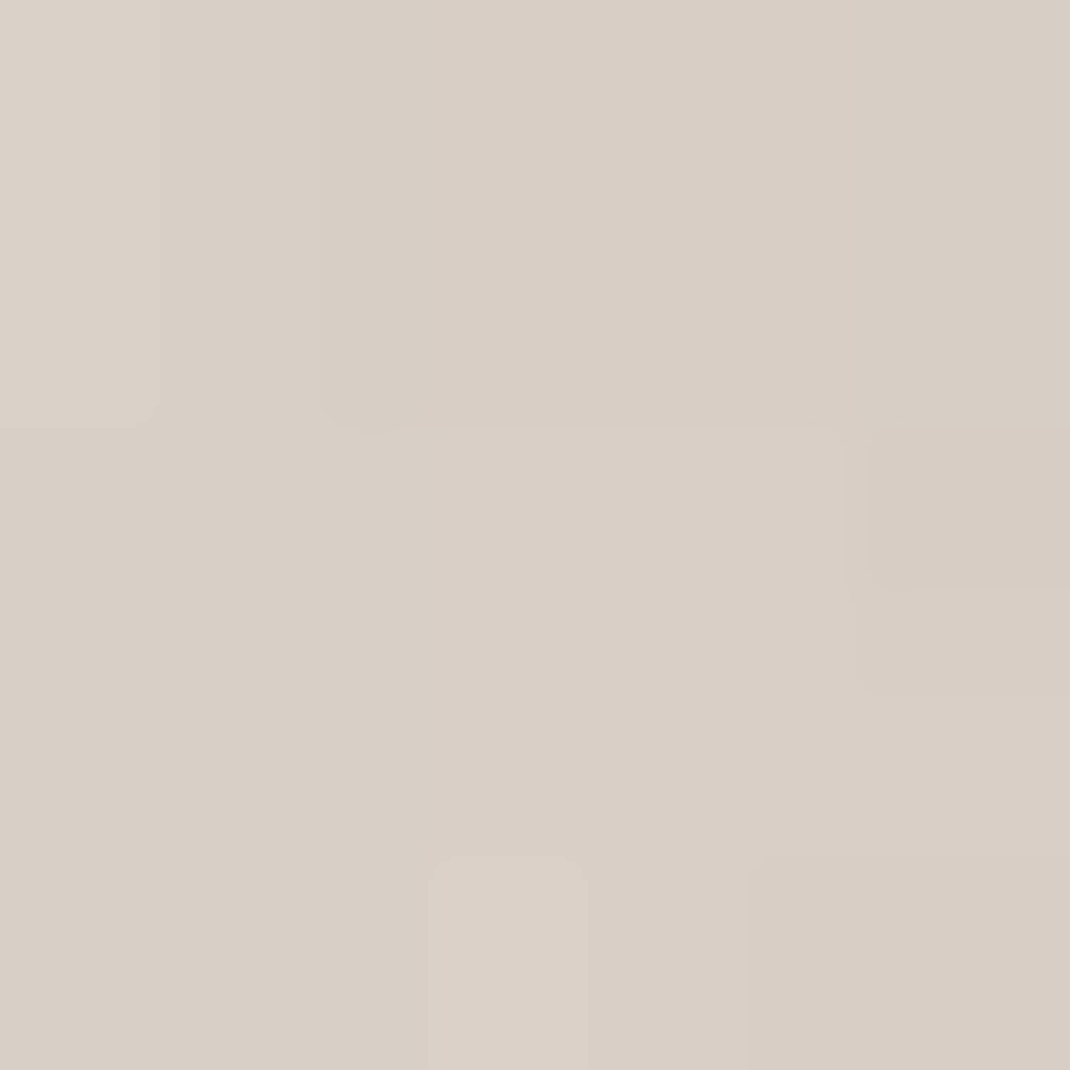America Today bomberjack zomer beige