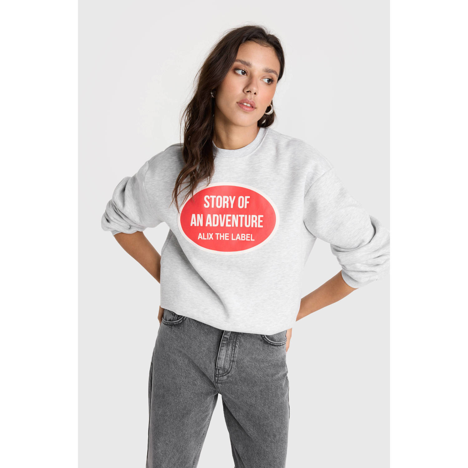 ALIX THE LABEL Dames Truien & Vesten Ladies Knitted Adventure Sweater Grijs
