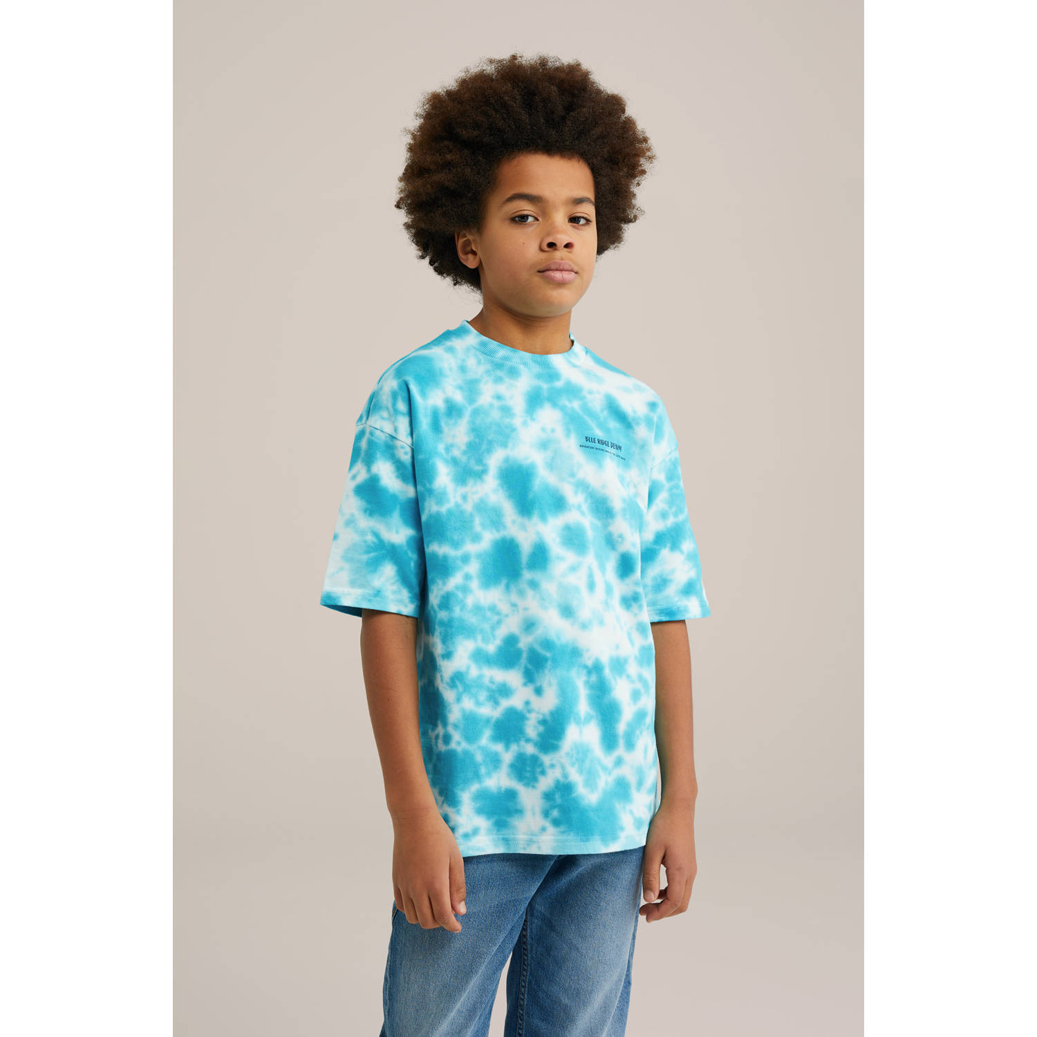 WE Fashion Blue Ridge T-shirt blauw lichtblauw