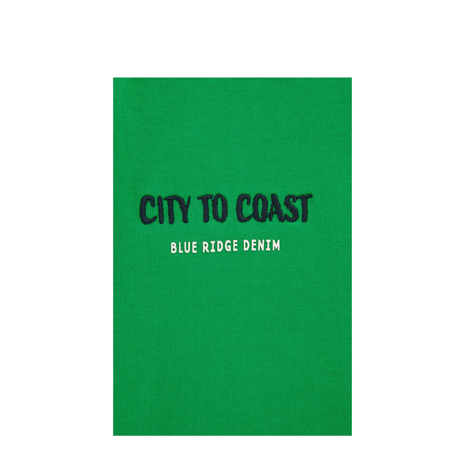 WE Fashion Blue Ridge T-shirt groen