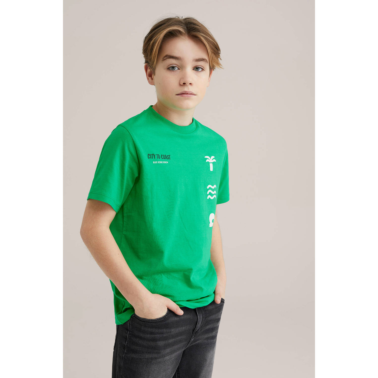 WE Fashion Blue Ridge T-shirt groen