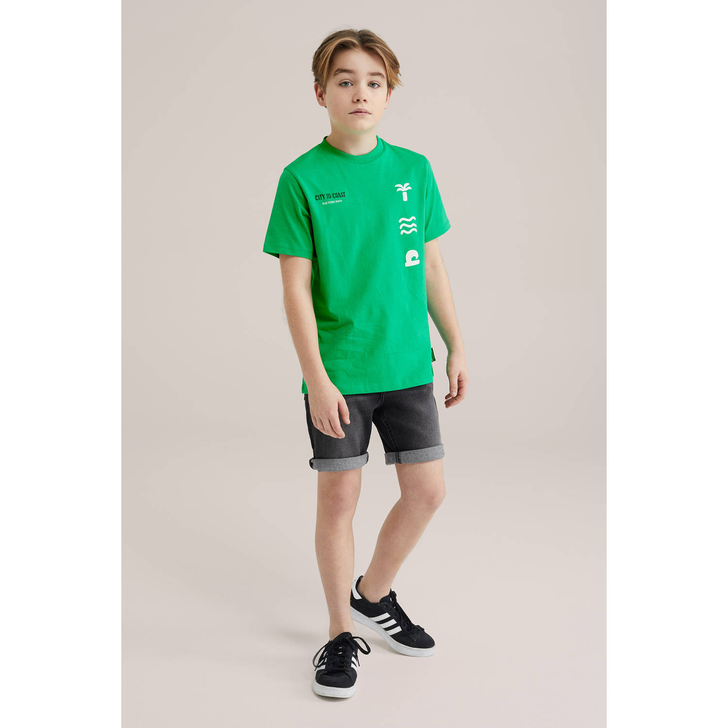 WE Fashion Blue Ridge T-shirt groen