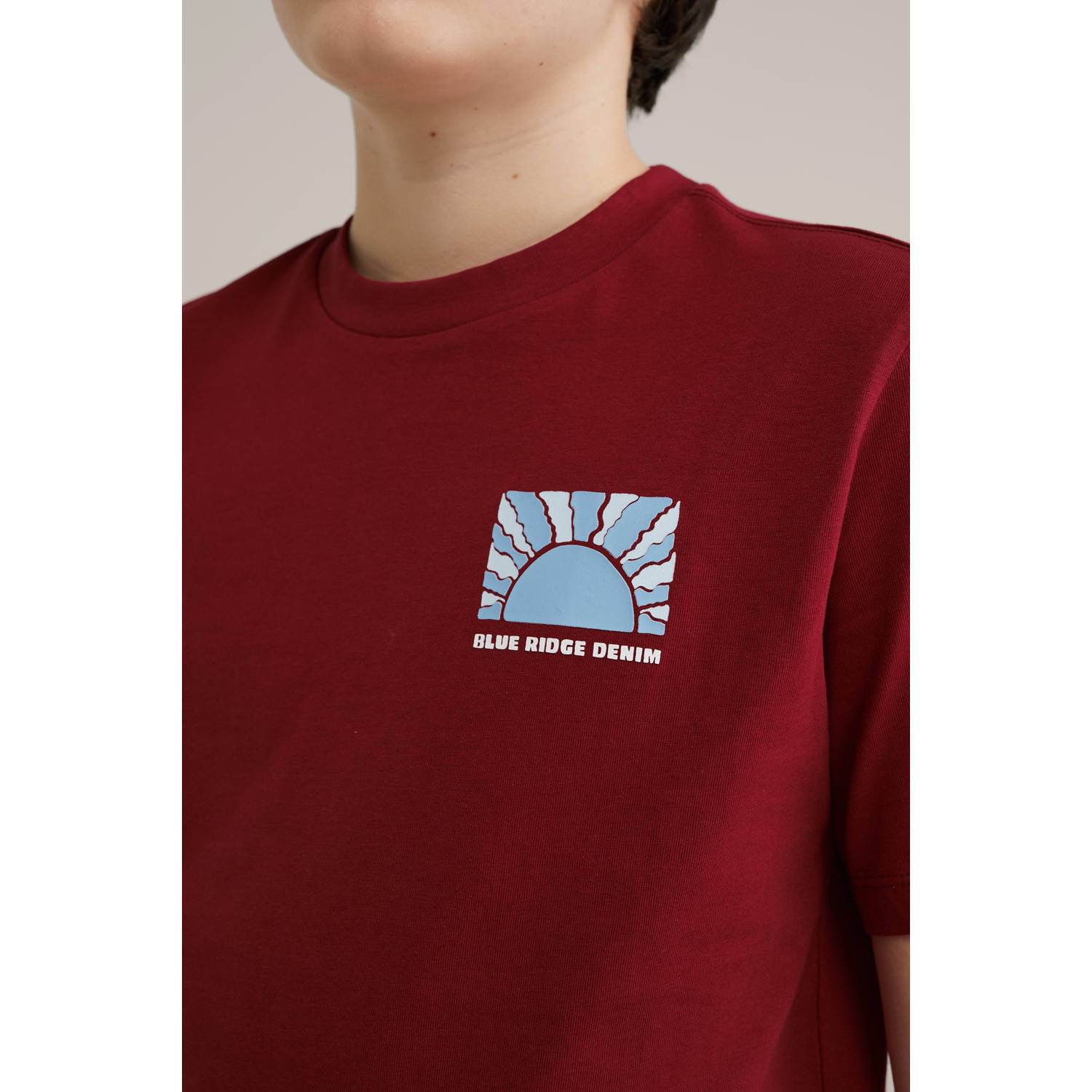 WE Fashion Blue Ridge T-shirt rood
