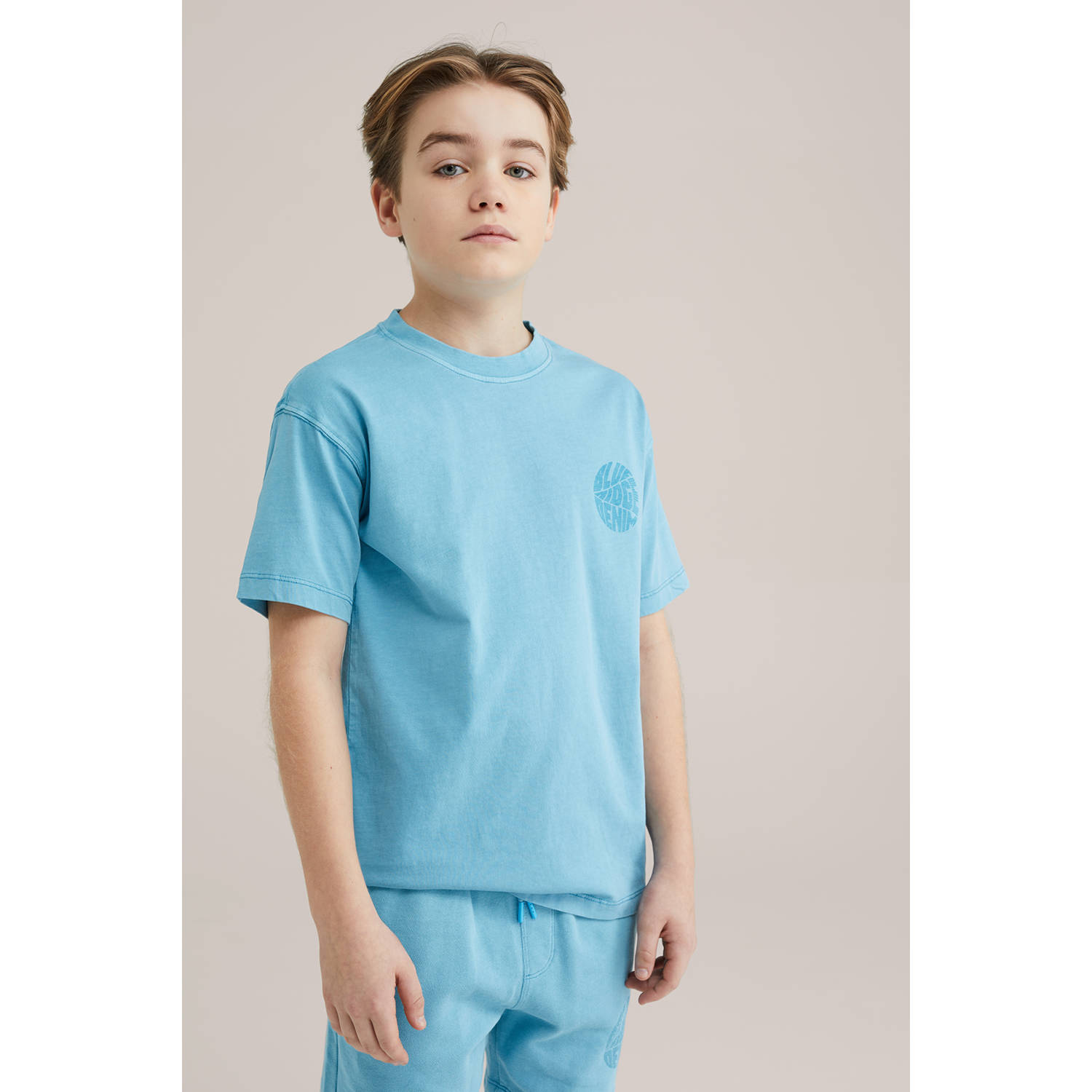 WE Fashion Blue Ridge T-shirt lichtblauw