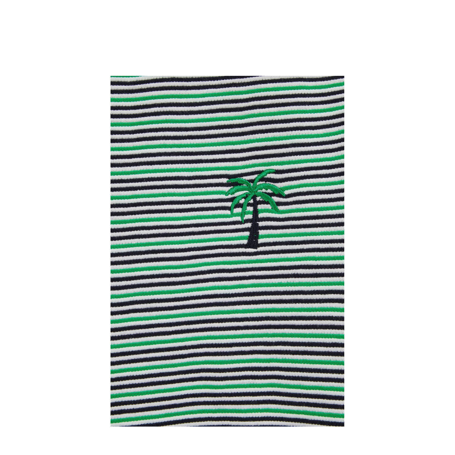 WE Fashion Blue Ridge T-shirt groen