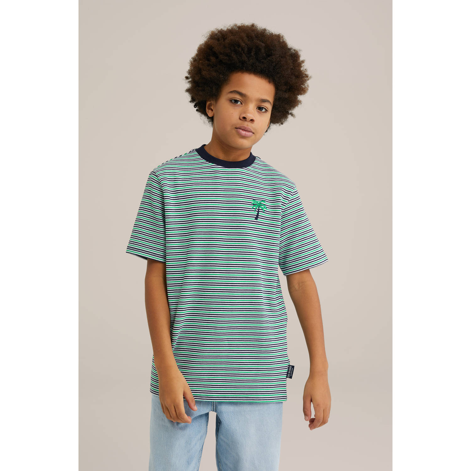 WE Fashion Blue Ridge T-shirt groen