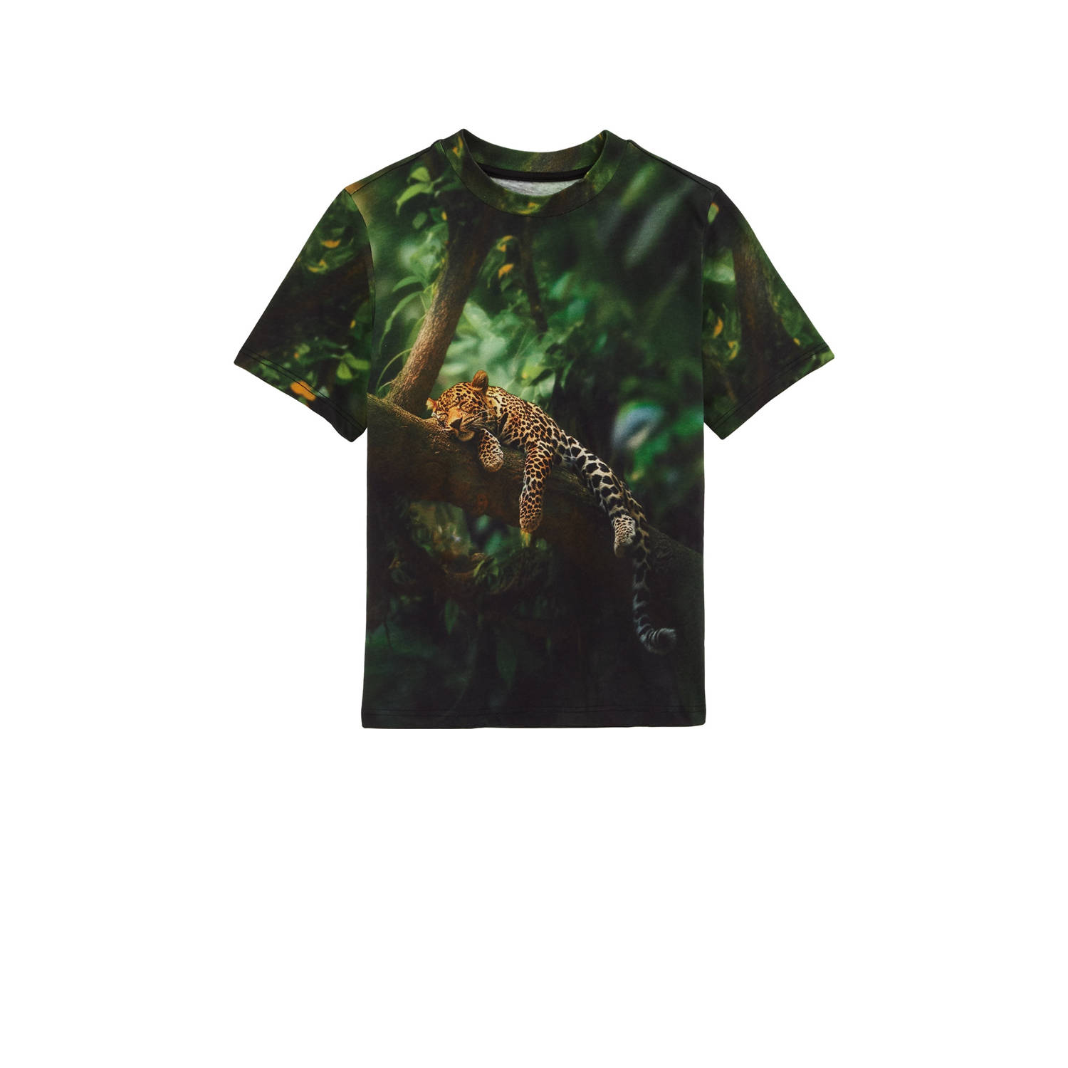 WE Fashion Blue Ridge T-shirt donkergroen
