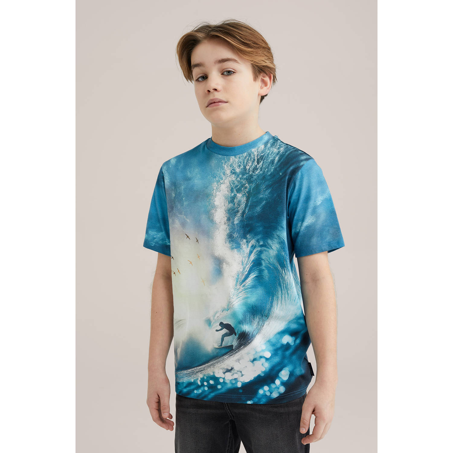 WE Fashion Blue Ridge T-shirt blauw